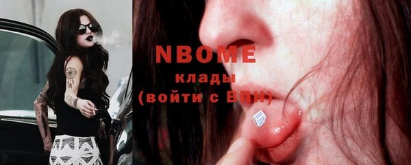 мдпв Няндома