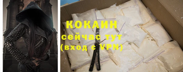 мдпв Няндома