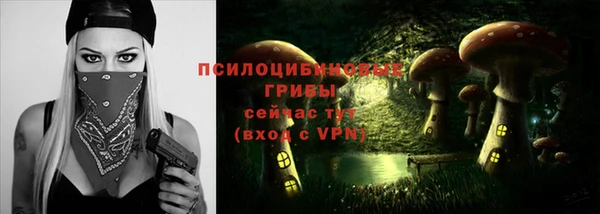 Альфа ПВП Нязепетровск